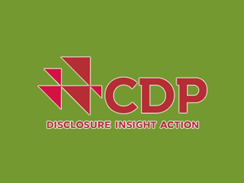 碳信息披露CDP